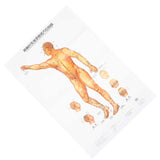 Acupuncture Point Wall Chart Book Comprehensive Content Record Details Universal Male Acupuncture Instructions d