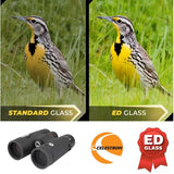 Celestron Trailseeker 10x42/8x42 ED Binoculars High-Index BAK4 Prism Di-Electric Phase-Correcting Coating For Hunters and Boater
