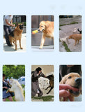 Rechargeable Remote Control Dog Training Device Pet Supplies Rechargeable Bark Stopper