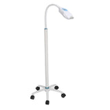 Dental Teeth Whitening Light 10 Light Chips Flexible Gooseneck Teeth Whitener Cold Light 110240V US Plug