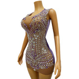 Host's Elegant with Waist Closure, Slim Skin Color, Mesh Perspective, Full Diamond Pattern, Sexy Zipper Host Dress