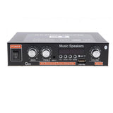 European G30 intelligent digital amplifier with built-in Bluetooth BLUETOOTH/USB/SD/FM amplifier