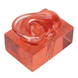 Right Ear Model Clear Waterproof Multifunctional High Simulation Acrylic Ear Display Model Sturdy Transparent Red for Learning