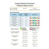 QMR-998 Resonance Magnetic Set Hand Touch Quantum Body Analyzer With 52 Reports 10Th Generation