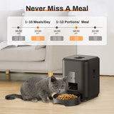 2l Button USB Automatic Smart Cat Feeder Dog Slow Dispenser with Voice Timing Pet Feeding pet Supplie Food Bowl