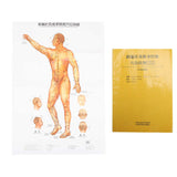 Acupuncture Point Wall Chart Book Comprehensive Content Record Details Universal Male Acupuncture Instructions d