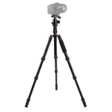 Triopo MT-2505C Adjustable Portable Aluminum Tripod with NB-1S Ball Head for Canon Nikon Sony DSLR Camera