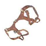 Camera Shoulder Strap DSLR Harness Professional Adjustable Belt Accessory