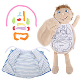 Kids Assembled Organs Toy Human Body Anatomy Plush Doll Science Teaching Aids Tool Educational Toys