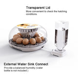 Incubator for Hatching with Automatic Turning Led Egg Test Lamp Clear Lid 12 Eggs Poultry Farm Hatcher Tools