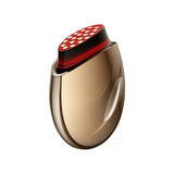 New Multifunctional Wrinkle Removal Face Care Rf Ems Facial Lift Beauty Machine For Home Use