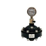 UPVC/PVC damper diaphragm pulsation buffer DN15/20/25/32/40/50