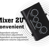 EU/US Portable Dual Mic Inputs Audio Sound Amplifier & Microphone Karaoke Ok Mixer BlackPlug for Company Home Hot Sale
