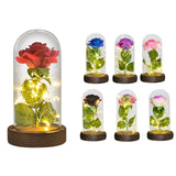 Eternal Rose Flower In Glass Dome With LED Light Wooden Base Valentine Christmas Gifts For Women