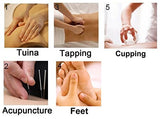 TENS hine 6 Modes Best Back Stress Neck Sciatic Pain Relief Full Body Palm Plus Digital Tens Electroestimulador Massager