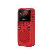 Portable Radio Bluetooth Speaker Music Player Support Bluetooth Call Recording TF Card With HD Digital Display