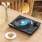 Record Weight Audio Vinyl Turntables LP Disc Stabilizer Turntable Clamp Hifi