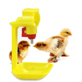 20 Pcs Chicken Water Nipple Dinking Cups Automatic Poultry Duck Bird Quail Drinker Hanging Cups Poultry Feeding Tools