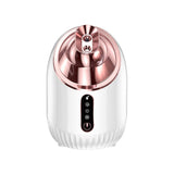 Hydration Instrument Nano Spray Beauty Cold Spray Machine Humidifier Portable Charging Mini Steam Face Home