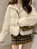 Mid-age Style Down Padded Jacket With Hood And Disc Buttons