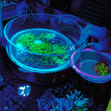 Aquarium water magnifying glass, seawater coral fish tank observation mirror, aquarium viewing device Marine Coral