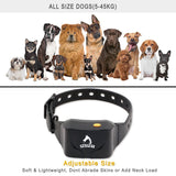 Dog training without electric shock