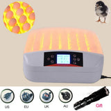 56 Eggs Brooder Digital Fully Automatic Egg Incubator with light Poultry Chicken Duck Temp and Humidity Controller