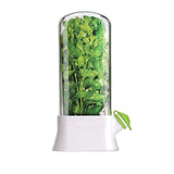 Refrigerator Herb Crisper Saver Pod Container Vegetable Preserving Bottle Keep Herb/Cilantro/Mint/Parsley/Asparagus Fresh Green