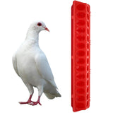 28Girids Poultry Feeder Bird Pigeon Flip-Top Fountain 2Pcs Chicken Ground Anti-spread Rearing Trough Feeding Bucket Farming Tool
