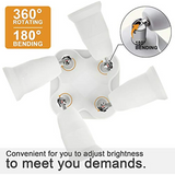 Adapter distributor lamp holder 1, standard LED bulb converter, 4-way medium plug