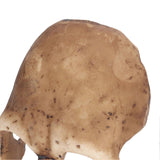 a6ce1966cd143d432e01e6cb087678aa