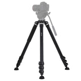 f608e43fd3634a99a5a309b0d6589597