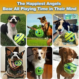 2pcs Dog Ball Toys for Small Medium Dogs Tooth Cleaning Interactive Elasticity Chew Toy Rubber Safe Food Ball Toy Pet Stuff