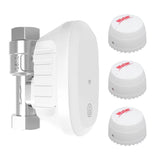 Tuya WiFi Water Valve Consumption Flow Rate Meter Smart Life Water Leakage Detection Alarm for Alex