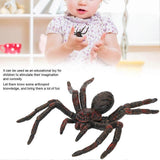 5bf97ba2035472830f7ffa65daba51e9