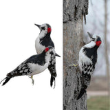 2pcs Real Woodpecker Garden Decoration