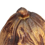 13132be19c1a09a36846c69b5f8a7587