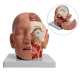 ae860508add01379c8bab58aba15cc65