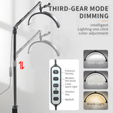 HD-M30X 36W Desktop LED Video Light Half-moon Shaped Fill Lamp Bi-color 3200K-5600K Dimmable for Vlog Beauty Salon Makeup