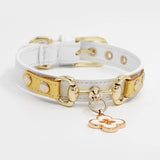 Leather pet collar