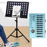 IRIN Mini 10-Band EQ Effect Pedal for Guitar & Bass - True Bypass, Aluminum Alloy Body - 2024 Musician's Essential