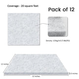 Pack of Acoustic Panels - 12 x 12 x 0.3 Inch Wall and Ceiling Sound Absorbing Panels for Home and Recording Studio