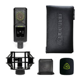 LEWITT LCT 540S 1" true condenser studio microphone Ideal for extreme processing and ultra-detailed studio recordings