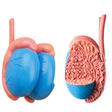 11d9fb5be67b7347f72f5f64e76d7f8c