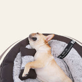 Deep sleep for small and medium-sized dogs