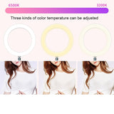 LED Live Streaming Ring Studio Photography Selfie Tattoo Fill Light Black (6.5 inch)