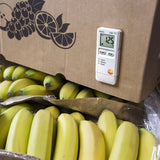 Testo 184 T1 Temperature Data Logger for Transport Monitoring 0572 1841