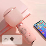 6 Sound Effects Wireless Karaoke Microphone Type-C Rechargeable Bluetooth-Compatible 5.0 for Adults Children