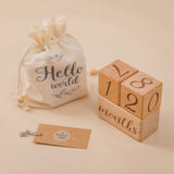 3 Piece Monthly Record Growth Block Wood Color Wooden Baby Photography Props Photo Milestone