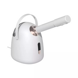 Facial Steamer Ionic Facial Steamer Can Add Aromatherapy Beauty Salon Face Facial Vaporizer Smart Hydrating Nano